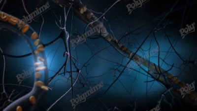 Synaptic transmission stock photos/images and 3d videos