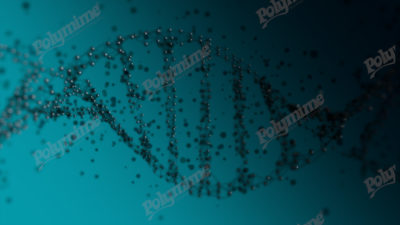 Reverse transcriptase stock photos/images and 3d videos to buy